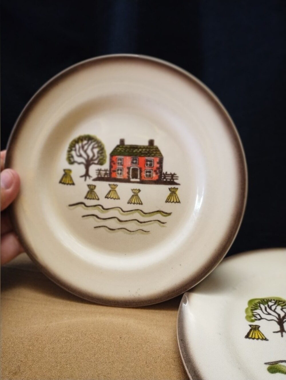 Poppy Trail Colonial Heritage For Metlox Two Plates Farmhouse Cottagcore 7 inch